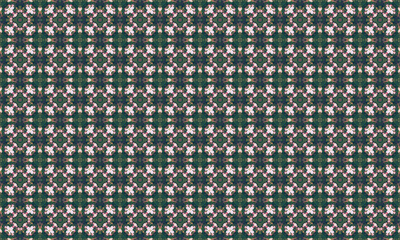  Pink blooming cherry garden. Spring background