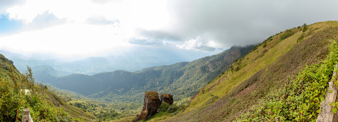 Mountain forest