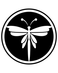 butterfly on a white background