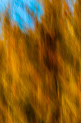 Barrido abstracto para fondo bosque amarillo azul naranja