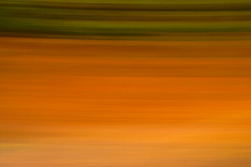 Barrido abstracto para fondo bosque amarillo azul naranja