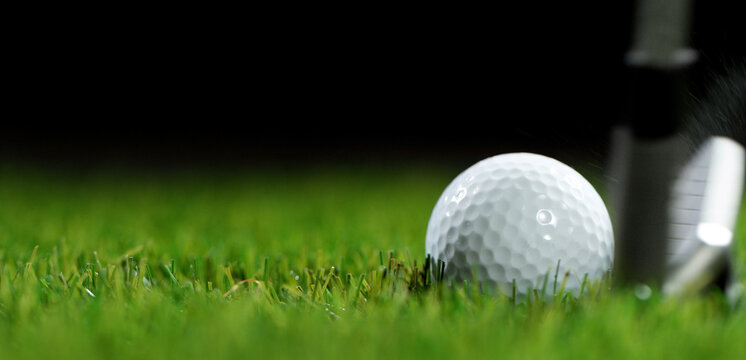 Detail of a golf club and ball in lawn.