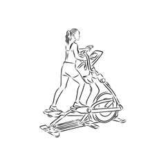 Sports equipment for gym,. Professional simulator for practicing at home or in gym. Development physical strength and endurance. sports simulator vector sketch illustration