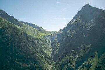 the scars of the Earth