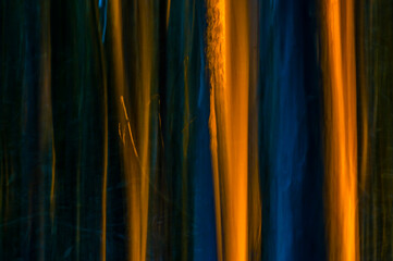 Barrido abstracto para fondo bosque amarillo azul naranja