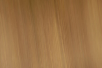 Barrido abstracto para fondo bosque amarillo azul naranja