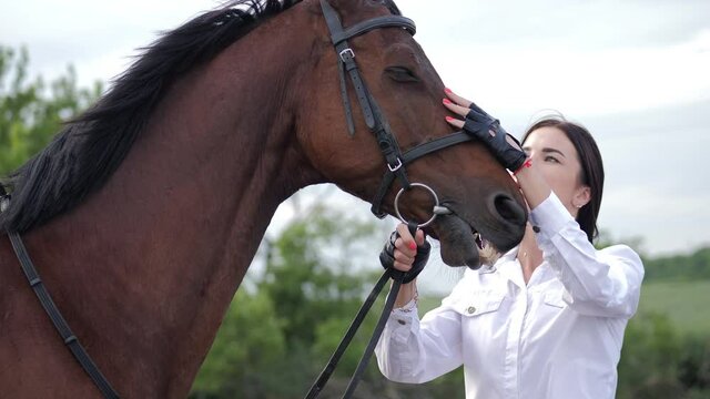 Girl with hourse. Smiling woman and her horse on the farm