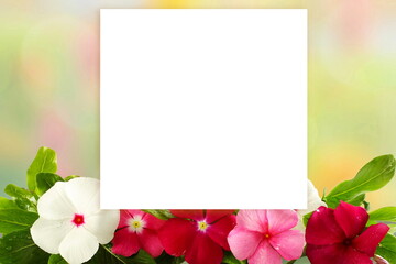 blank white paper board on flowers background with text copy space