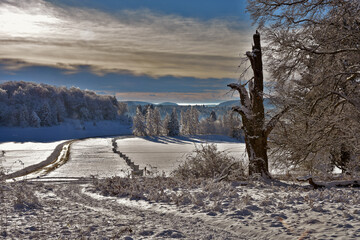 Winterlandschaft beim Raichberg, Schwäbische Alb, Deutschland