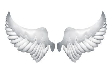 Ein Paar Engelsflügel auf weißem Hintergrund.