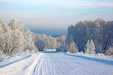 Clear winter day. Clear frosty blue sky. The road turns into the sparkling silver forest.