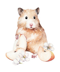 animal sketch cute little red hamster with apple slice and flowers funny animal watercolor drawing of a pet 5
