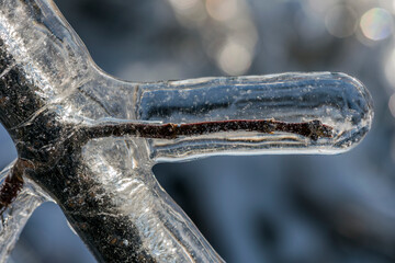 Ice rain series: ice-covered twig very close-up