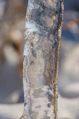 Ice rain series: ice-covered stem close view