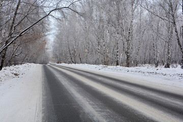 Snow-covered road in a snow-covered pine forest