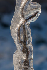  Ice rain series: ice-covered stem as statue close-up view