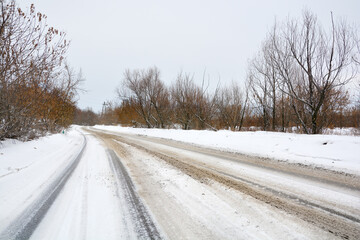 Fototapeta premium Snow-covered road in a snow-covered pine forest