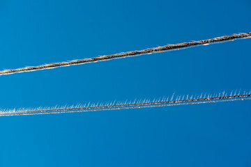 Ice rain series: icicles on two wires on blue sky background