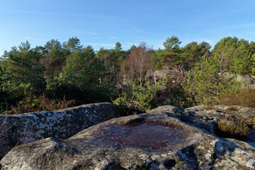 Gorges of Franchard in Fontainebleau forest