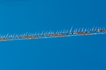 Ice rain series: icicles on a wire on blue sky background
