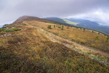 Obraz premium Beautiful mountain landscapes with colorful vegetation.