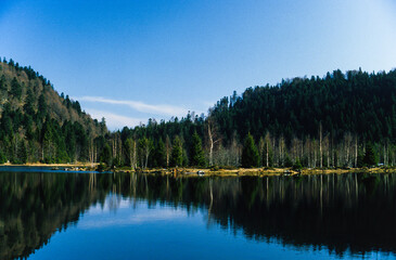 Fototapeta premium Lac de Lispach, La Bresse, Vosges, 88, région Grand Est