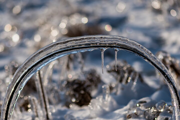 Ice rain series: ice-covered twig arc close view