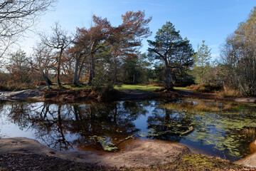 Franchard pond in Fontainebleau forest
