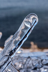 Ice rain series: ice-covered twig close view