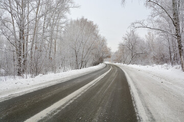 Fototapeta na wymiar Snow-covered road in a pine forest