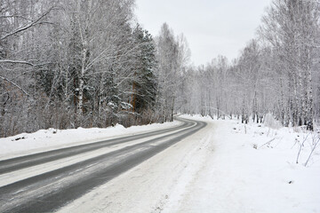 Fototapeta premium Snow-covered road in a pine forest