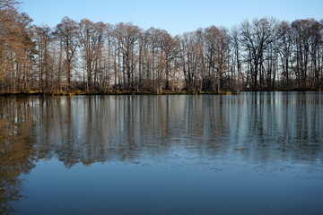 Impressionen am romantischen Waldsee in der Lausitz