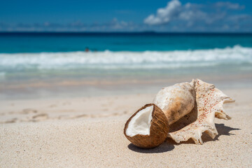 Fototapeta na wymiar Coconut and seashell on sandy ocean shore