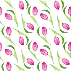 Hand painted watercolor seamless pattern with pink tulips