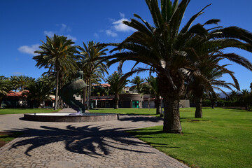 Fototapeta premium Palmengarten Meloneras an der Promenade