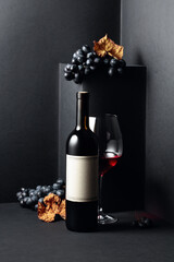 Red wine and blue grapes with dried up vine leaves on a black background.
