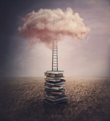 Surreal landscape, conceptual scene with a books pile in the middle of an open meadow, and a ladder...