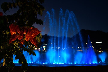 Springbrunnen ihn Puerto Rico