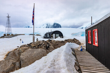 Gentoo penguins at the Port Lockroy Antarctic Base near the flag. © Anton