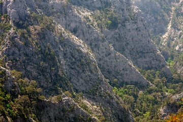 Fototapeta na wymiar Heaven in the Mount Ida in autumn, Sahindere canyon, Edremit,Balikesir_Turkey