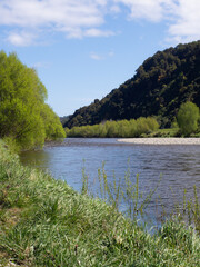 Riverbank Of The Hutt River