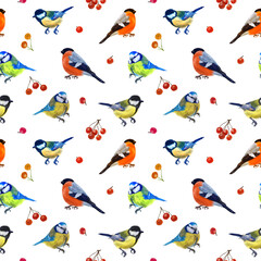 Colorful digital pattern with forest birds and red berries. White background.