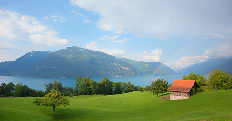Obraz premium rainbow over lake Thunersee, green pasture with hut, mountain landscape Berner Oberland, Switzerland