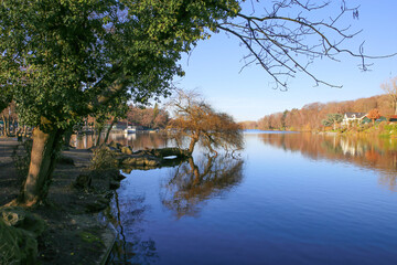 Obraz premium Panoramic view on german lake with trees in autumn colors - Hariksee, Viersen, Germany