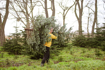 Ein Mann f&auml;llt einen Weihnachtsbaum