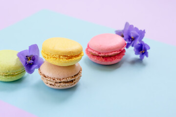 Colorful almond macarons with purple little flowers on two colored blue and pink background.