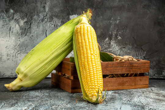 front view fresh raw corn yellow plant on dark-light background green photo color