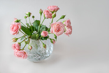 Bouquet of pink roses in round glass vase on gray background