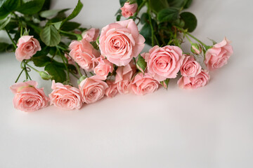 Bouquet of pale pink roses on light background