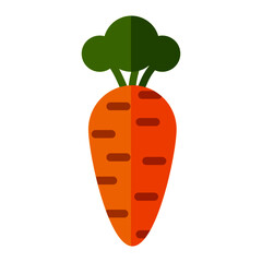 Orange carrot with green leaves isolated on white background